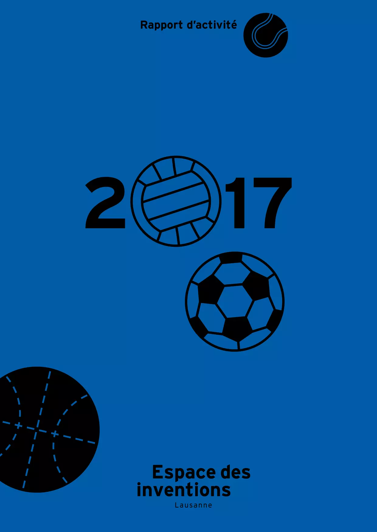 Rapport d'activité 2017